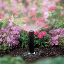 northwest pipe fittings rapid city irrigation pop-up sprinklers rain bird